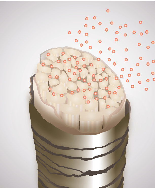 髪の内部に浸透するナノアミノのCMCダメージケア ナノテクノロジーのイメージ図