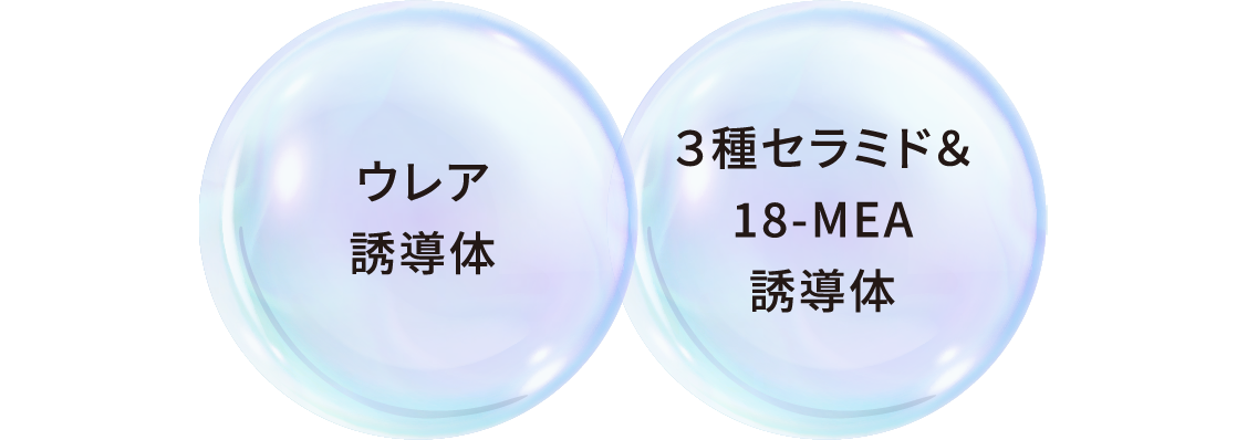 ウレア誘導体、３種セラミド＆18-MEA誘導体