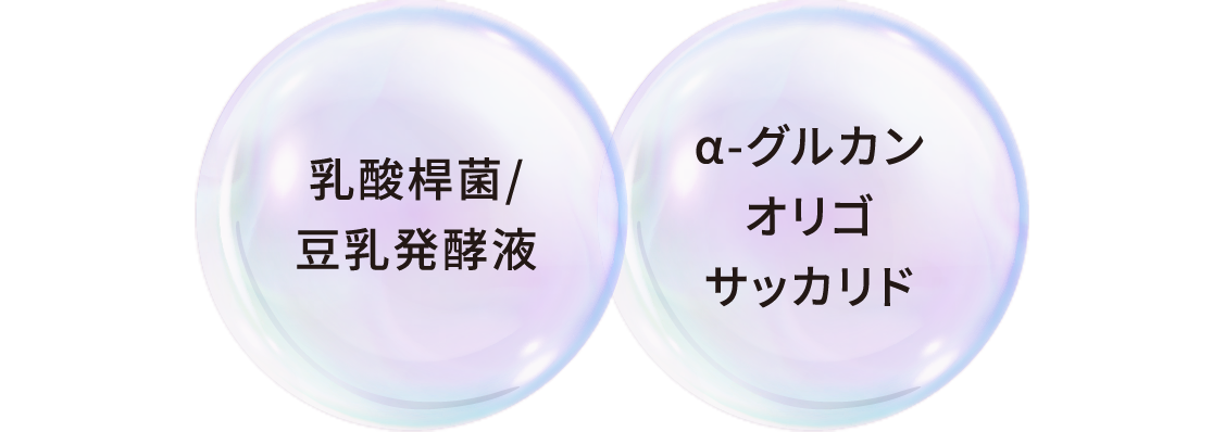 乳酸桿菌/豆乳発酵液、α-グルカンオリゴサッカリド