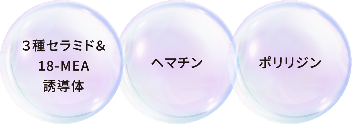 ３種セラミド＆18-MEA誘導体、ヘマチン、ポリリジン