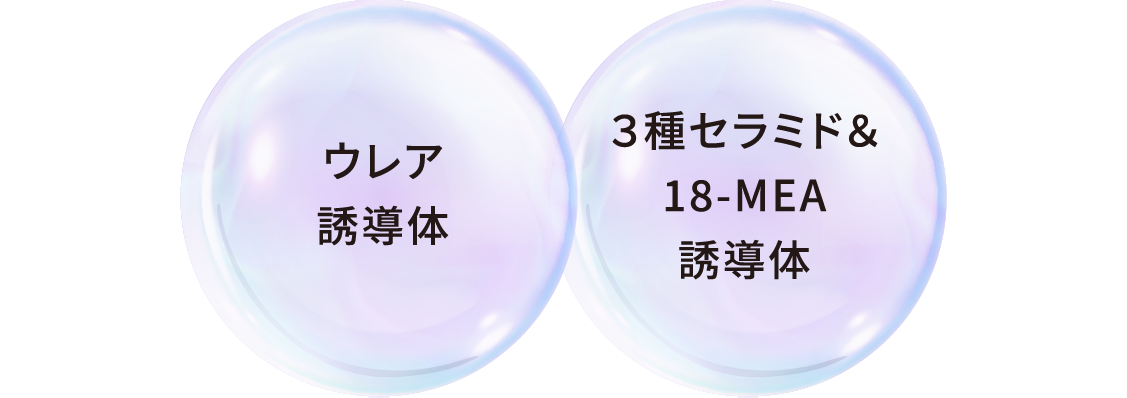 ウレア誘導体、３種セラミド＆18-MEA誘導体