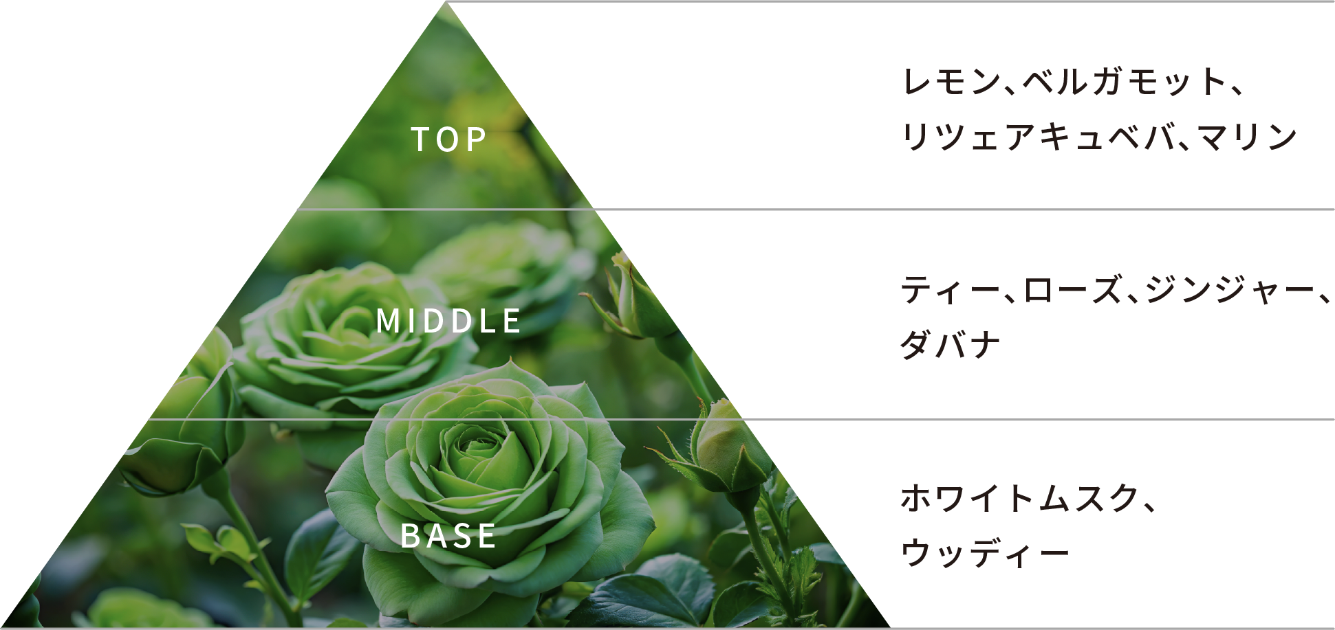 TOP:レモン、ベルガモット、リツェアキュベバ、マリン ／ MIDDLE:ティ、ローズ、ジンジャー、ダバナ ／ BASE:ホワイトムスク、ウッディー